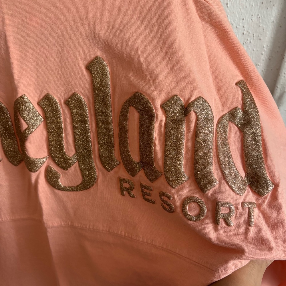 Disneyland spirit jersey - Picture 6 of 6
